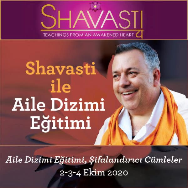 Eğitim: Kalbin Hareketi, Şifalandırıcı Cümleler
